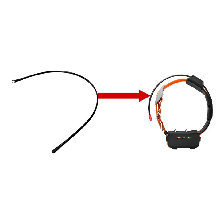 TR-Dog Collar Antenna